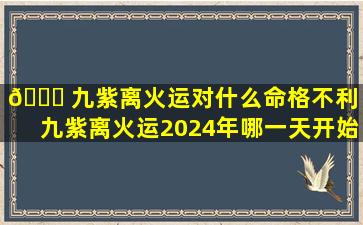 💐 九紫离火运对什么命格不利「九紫离火运2024年哪一天开始」